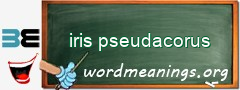 WordMeaning blackboard for iris pseudacorus